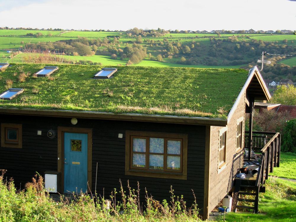 green-roof-1000x750